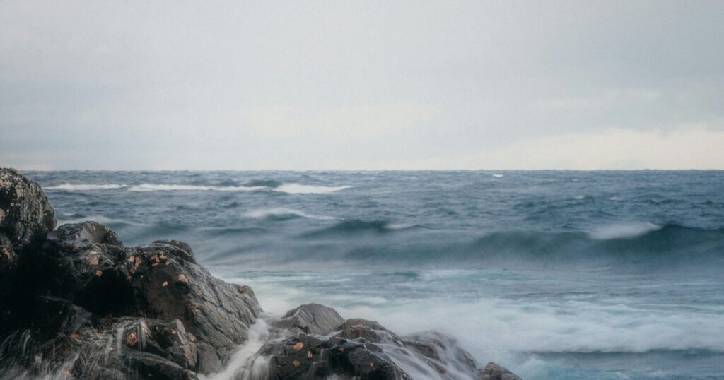 Kust